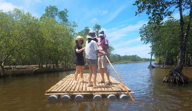 Go west rafting in mangroves, sing floating songs
