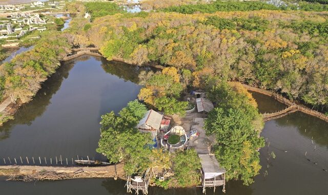 Rú Chá offers wetland wonderland for visitors