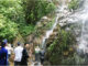 Impressive Ivory Falls