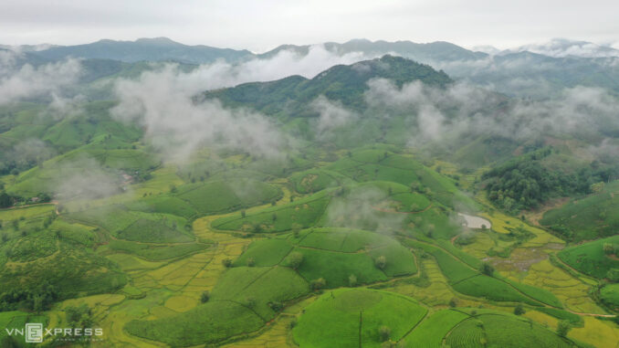 The most beautiful tea hill valley in Vietnam