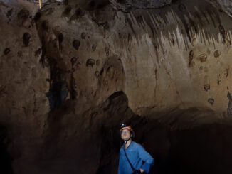 Quang Binh natural wonders thrill visitors with cavernous beauty