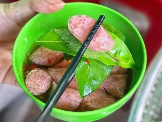 Vietnam, rolls, sour sausage, nem chua, cuisine, Hai Phong